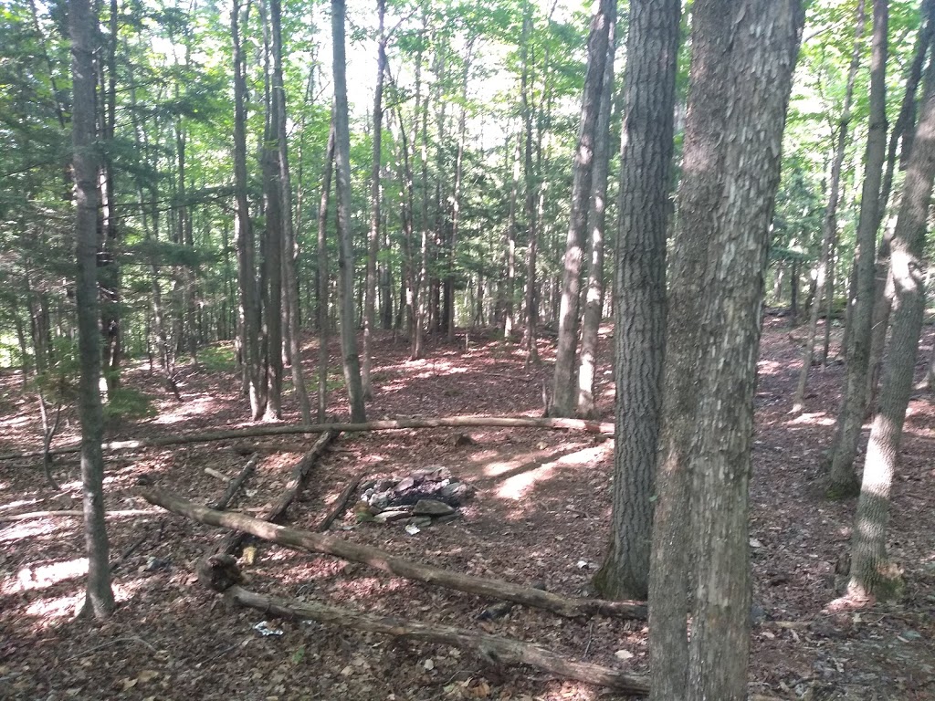 Boisé Du Phare | Mont-Bellevue, Sherbrooke, QC J1H 6B3, Canada