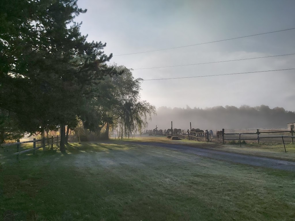 Green Glen Farm Inc | 3536 Hunt Line Rd, Kinburn, ON K0A 2H0, Canada | Phone: (613) 623-4289