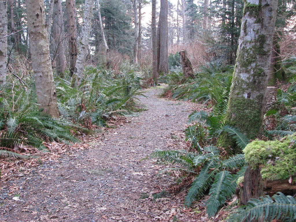 Eagles Drive Park | 6500 Eagles Dr, Courtenay, BC V9J 1V4, Canada | Phone: (250) 334-6000