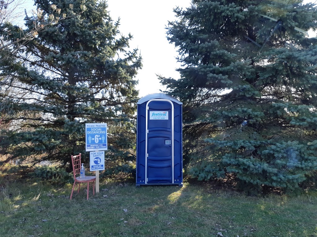 Bastien Christmas Tree Farm | 13106 Concession Rd 13, McGregor, ON N0R 1J0, Canada | Phone: (519) 726-0679