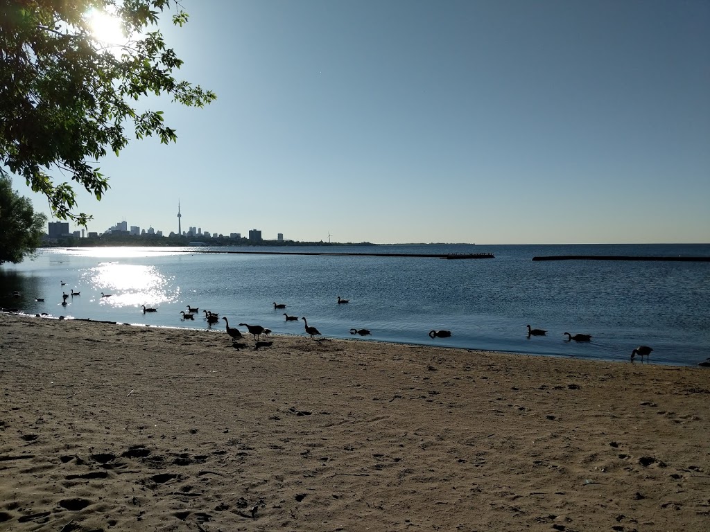 SUP meeting place | Sunnyside Boardwalk, Toronto, ON, Canada