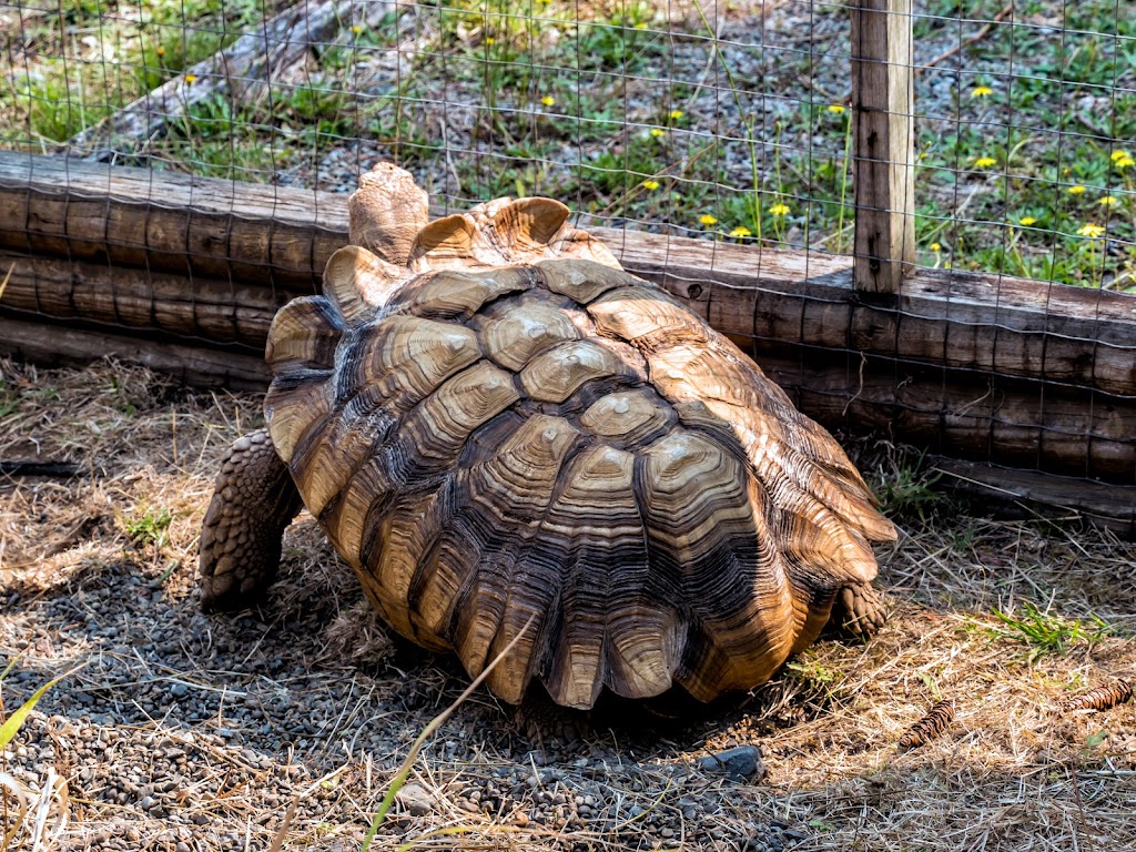 Butterfly World, Coombs | 1080 Winchester Rd, Coombs, BC V0R 1M0, Canada | Phone: (250) 248-7026