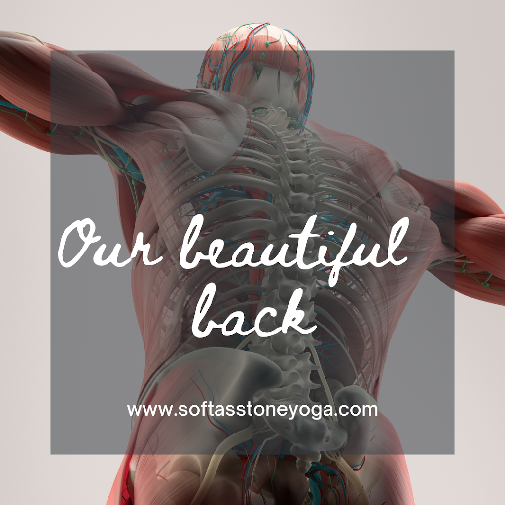SOFT AS STONE Therapeutic Yoga & Wellness | 35 Thomas Street 2nd Flr, Mississauga, ON L5M 1Y6, Canada | Phone: (416) 434-2988