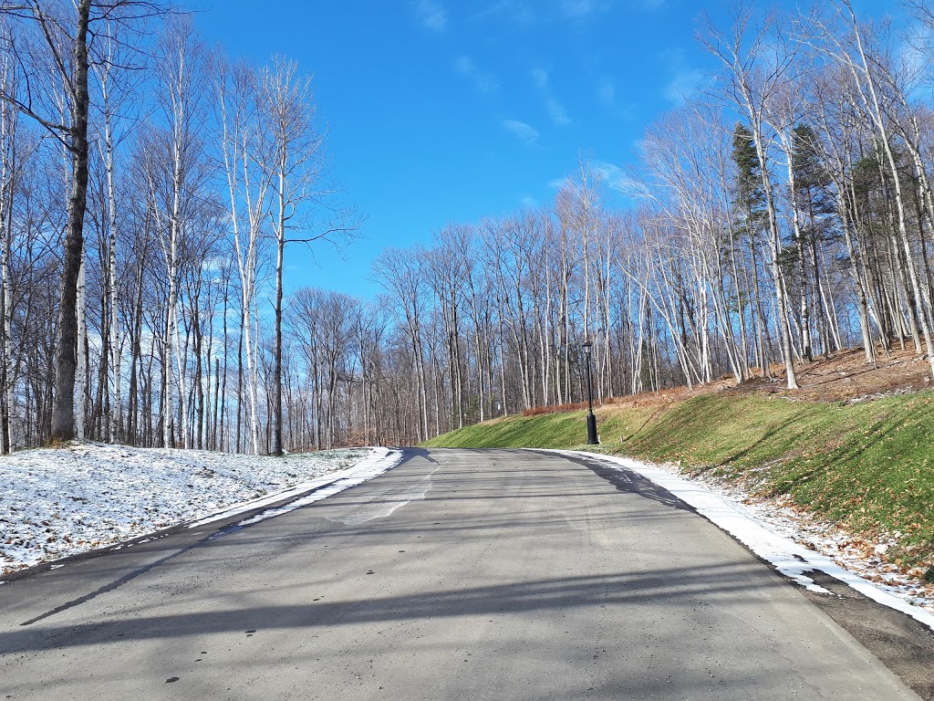 Extermination Des Monts | 668 Chemin des Bouleaux, Saint-Sauveur, QC J0R 1K0, Canada | Phone: (450) 227-0997