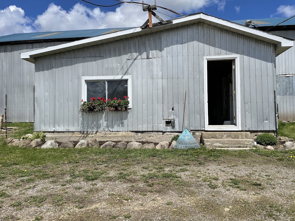 ferme Du-Rocail | 620 QC-148, Thurso, QC J0X 3B0, Canada | Phone: (819) 230-0576