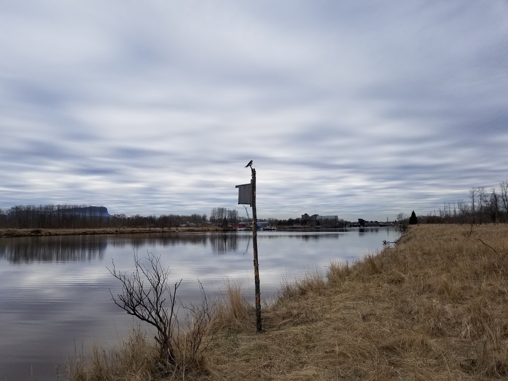 McKellar Island Bird Observatory | Baffin St, Thunder Bay, ON P7E 0A3, Canada | Phone: (807) 709-6870