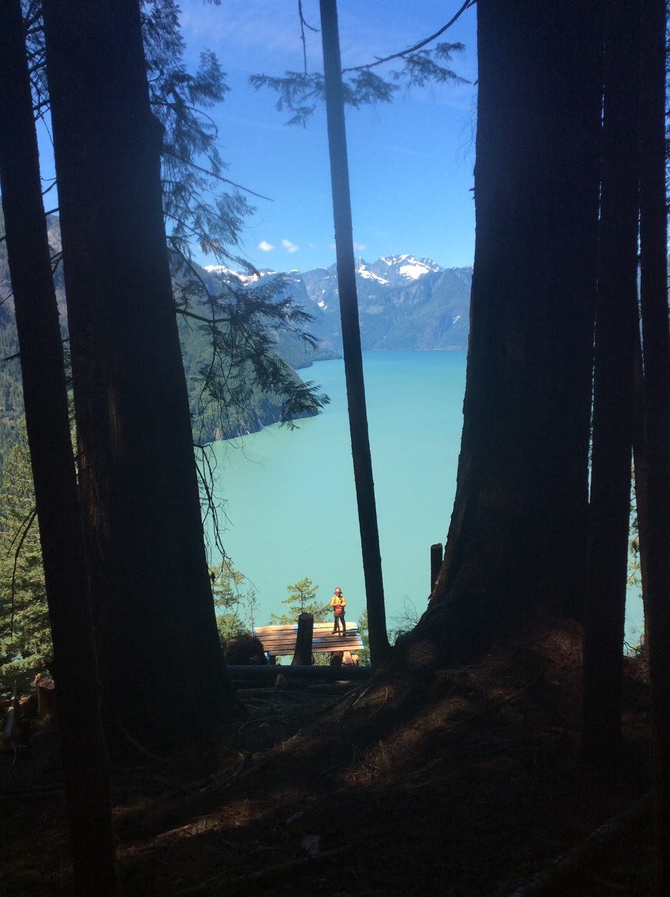 PseudoTsuga Timber | 41160 Rockridge Pl, Squamish, BC V8B 0S4, Canada | Phone: (604) 833-0746