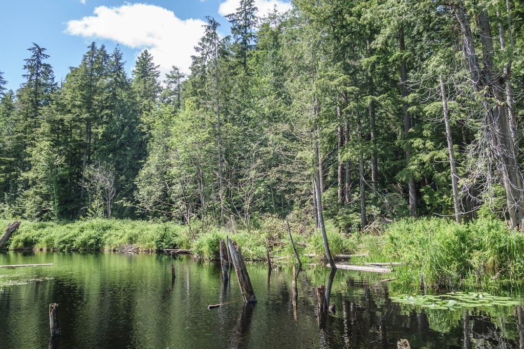Iris Griffith Field Studies & Interpretive Centre | 15200 Sunshine Coast Hwy, Madeira Park, BC V0N 2H0, Canada | Phone: (604) 883-9201