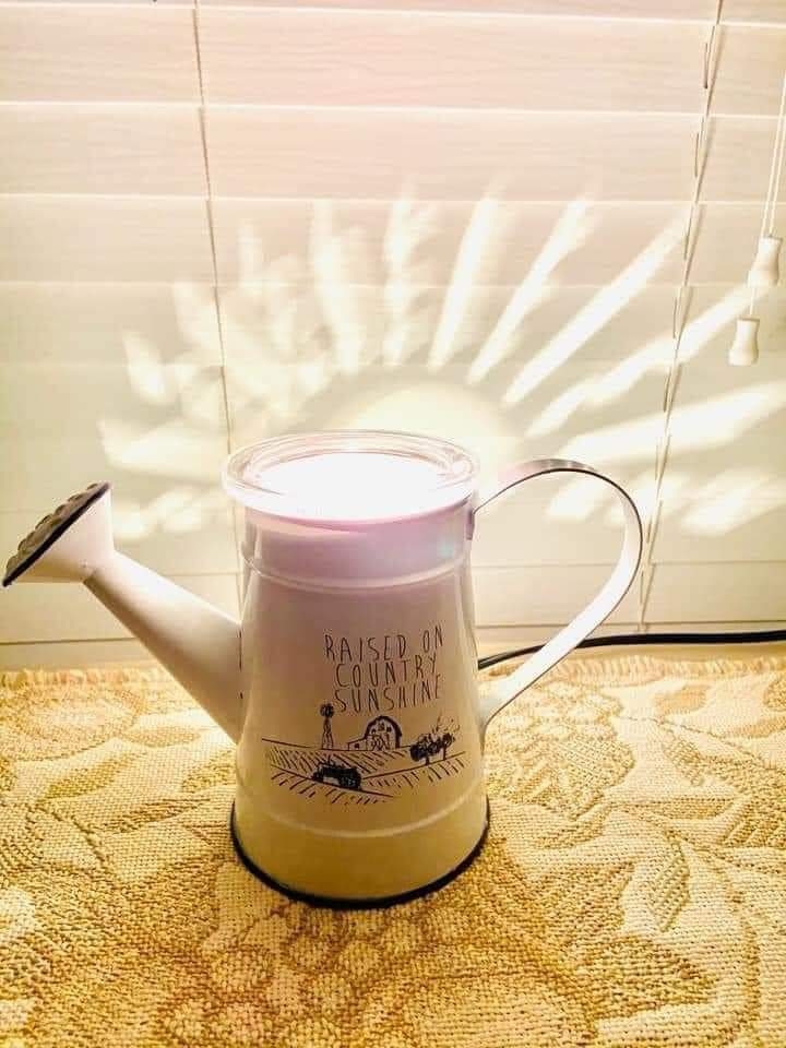 Independent Scentsy Consultant- Cindy Taylor | 610 Malo St, Kingsville, ON N9Y 3G6, Canada | Phone: (226) 346-5547