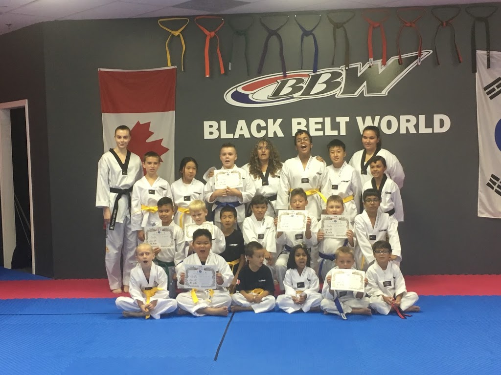 Black Belt World Barrie East | 201 Hurst Dr #6, Barrie, ON L4N 8K8, Canada | Phone: (705) 812-8007