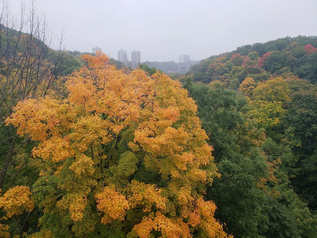 Park Drive Reservation Lands | 185 Mt Pleasant Rd, Toronto, ON M4W 1W2, Canada | Phone: (416) 392-2489