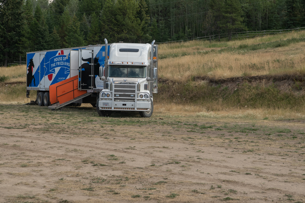 Horse Taxi | 3054 Houlgrave Rd, Invermere, BC V0A 1K5, Canada | Phone: (250) 342-1270