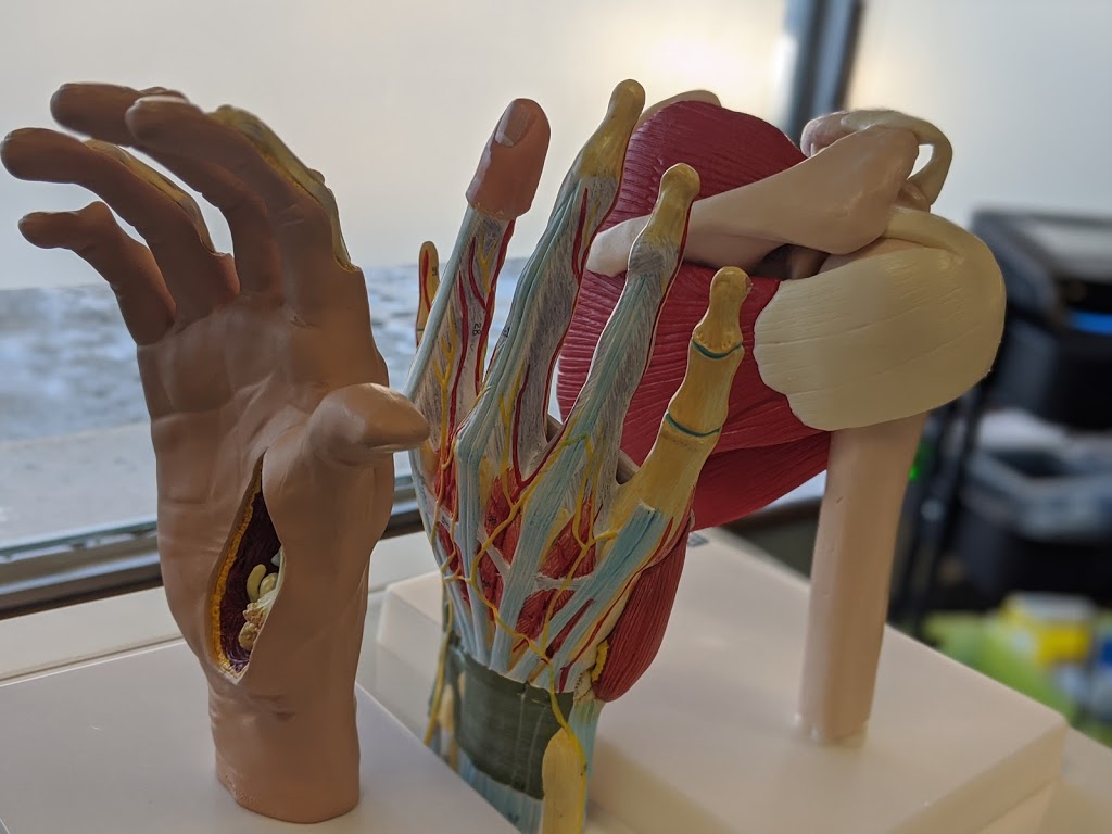 Eastcity Physiotherapy | 1123 St Marys Rd, Winnipeg, MB R2M 3T7, Canada | Phone: (204) 691-1529