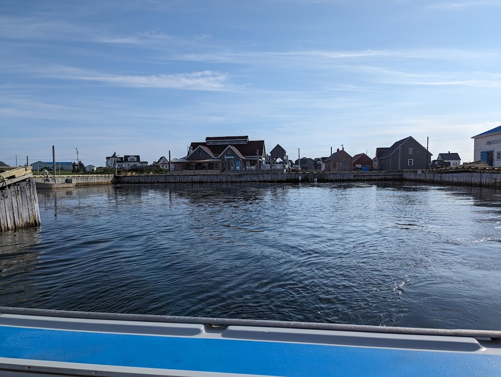 Bobs Deep Sea Fishing | 1X0, 318 Harbourview Dr, North Rustico Harbour, PE C0A 1N0, Canada | Phone: (902) 963-2666