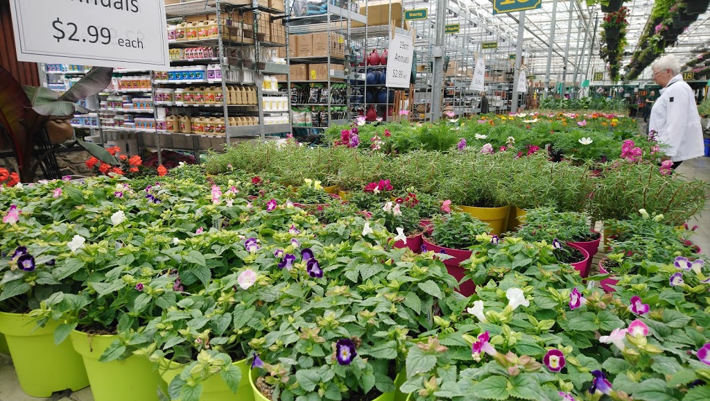 Devan Greenhouses | 28904 Fraser Hwy, Abbotsford, BC V4X 1G8, Canada | Phone: (604) 857-4944
