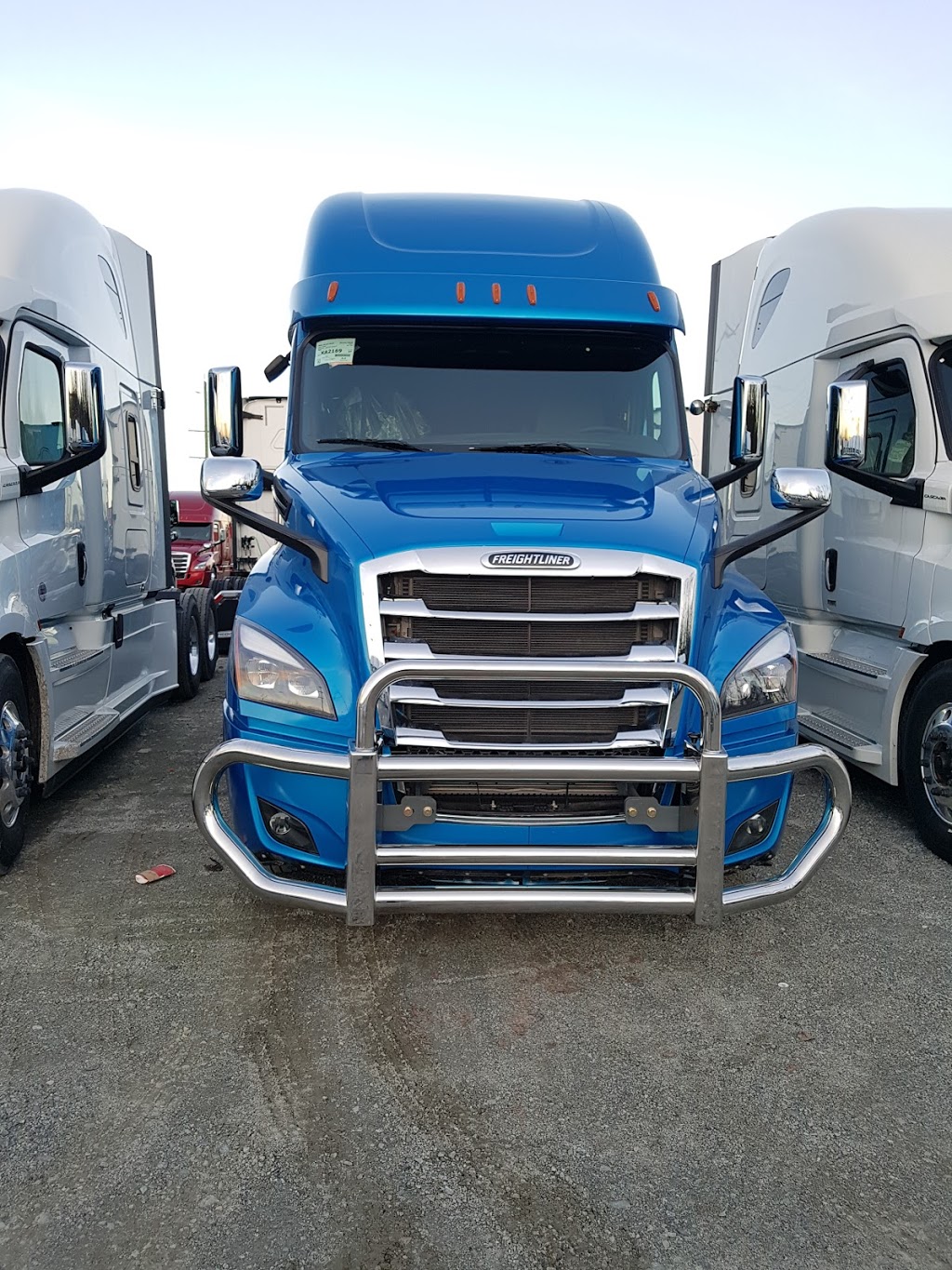 Oshaan Transport Ltd. | 9710 121 St, Surrey, BC V3V 4J5, Canada | Phone: (604) 498-5160