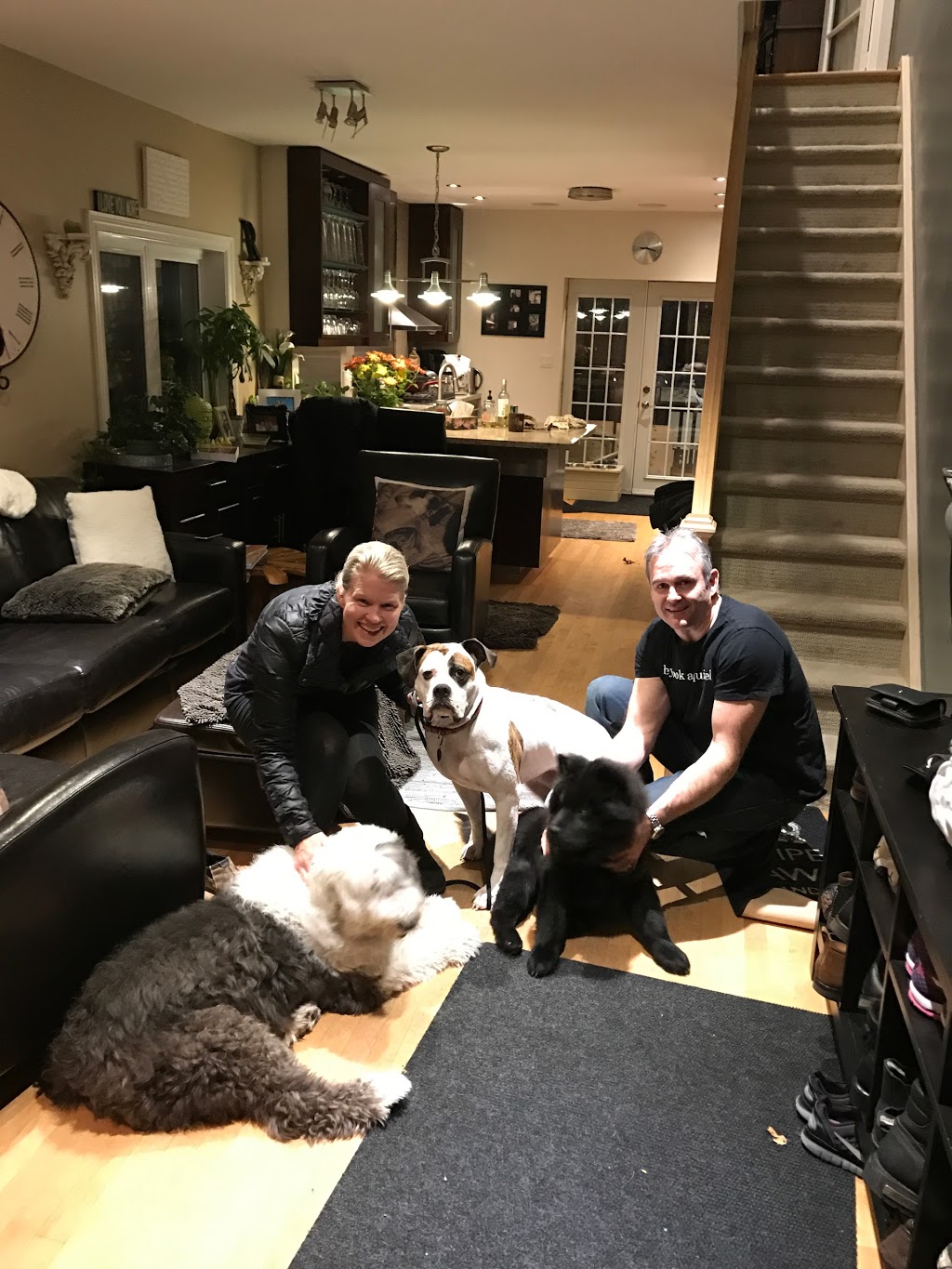 Bronx and Friends - Canadas Dog Whisperer | 2543 Innisfil Beach Rd, Innisfil, ON L9S 4C1, Canada | Phone: (705) 436-4545