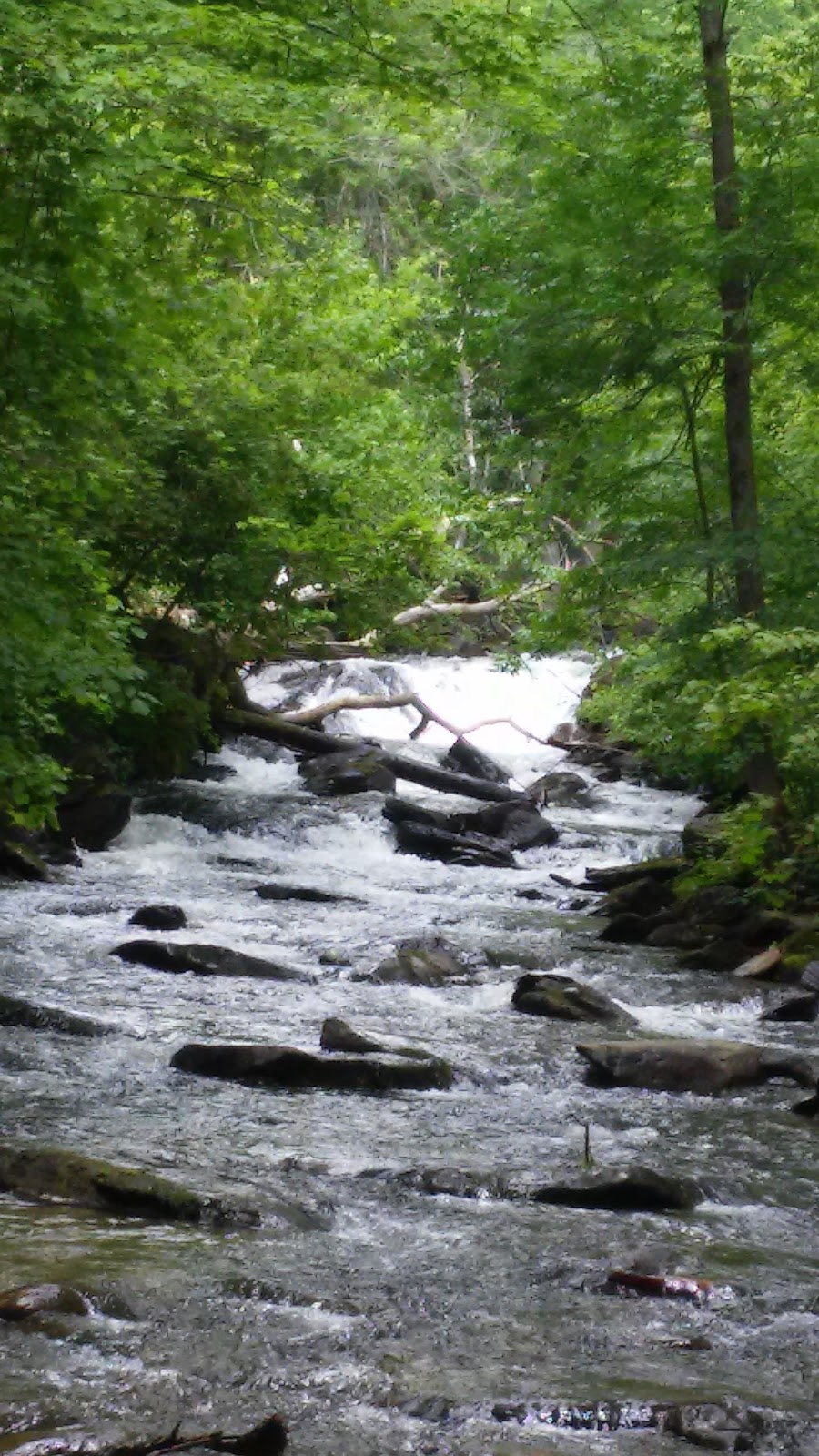 Crystal Lake Falls Historical Association | 97 Water St, Barton, VT 05822, USA