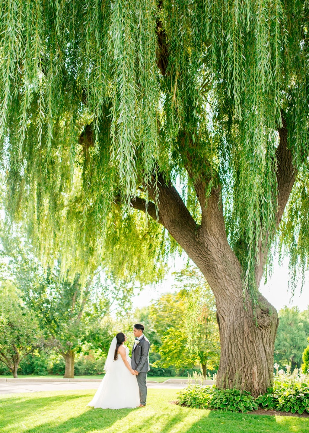 Erika Alvarenga Photography | 9050 Bramalea Rd, Brampton, ON L6S 6G7, Canada | Phone: (416) 908-7449