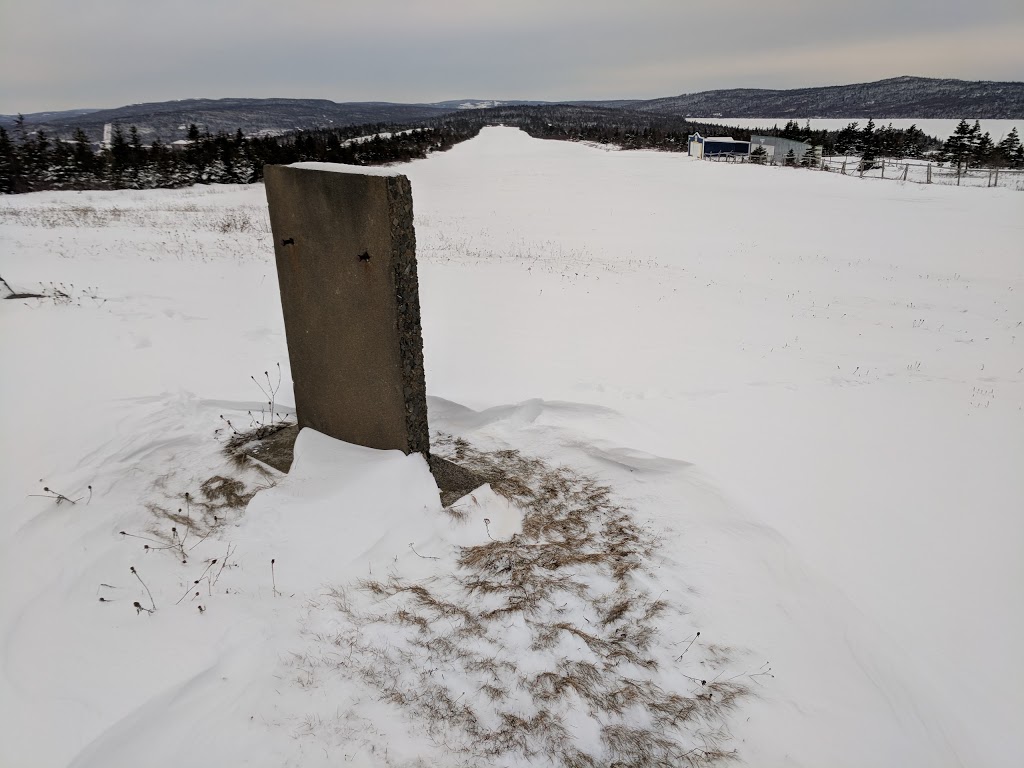 Harbour Grace Airport | Earhart Strip, Harbour Grace, NL A0A 2N0, Canada | Phone: (709) 596-5901