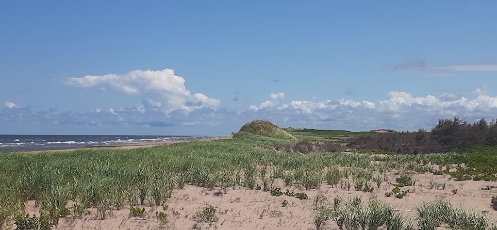 Shaws Beach, Prince Edward Island National Park | 2300 Gulf Shore Pkwy E, York, PE C0A 1P0, Canada | Phone: (902) 672-6350