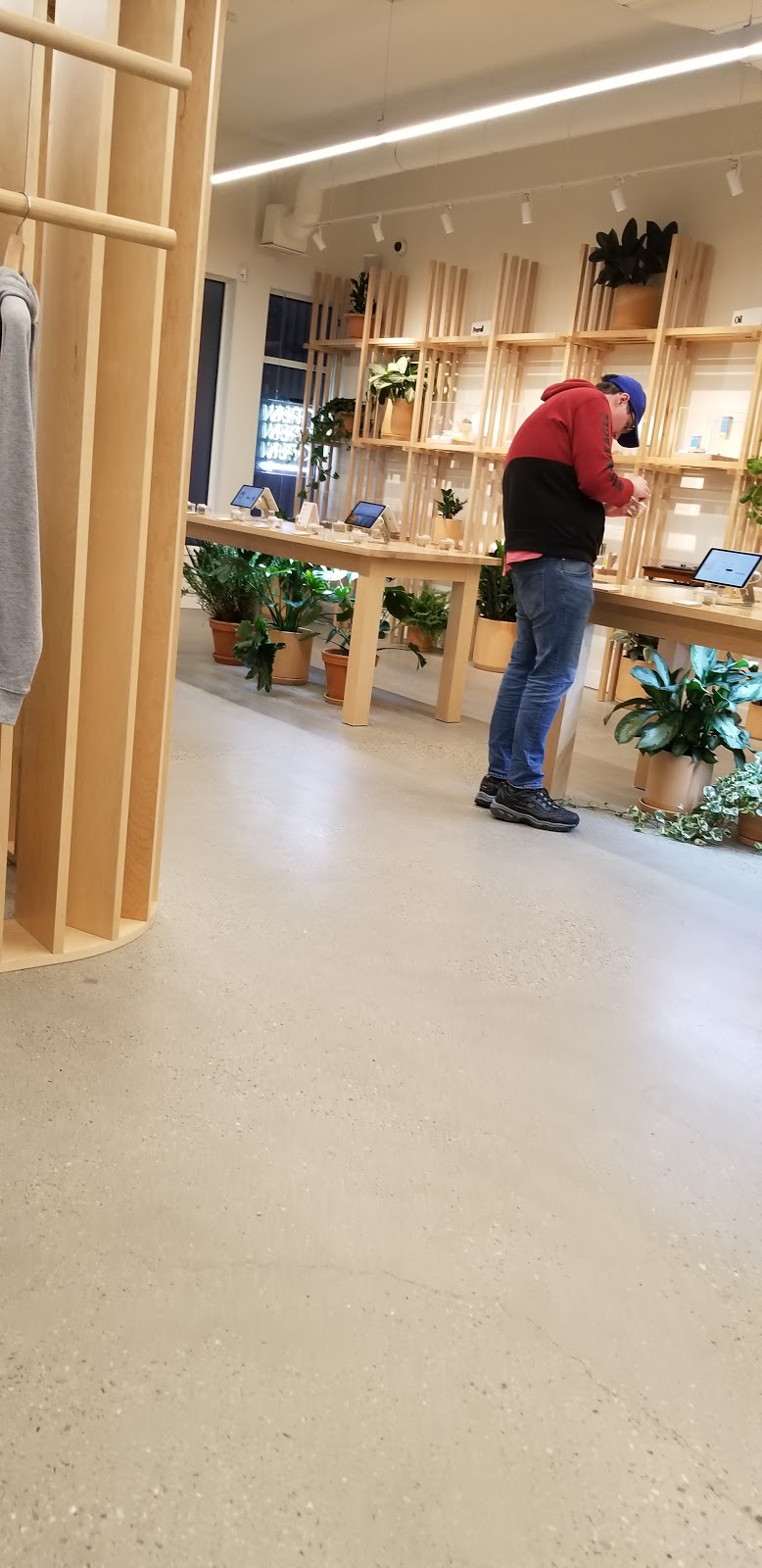 Hobo Cannabis Company | 4-2121 Springfield Rd, Kelowna, BC V1Y 7X1, Canada | Phone: (250) 860-0076