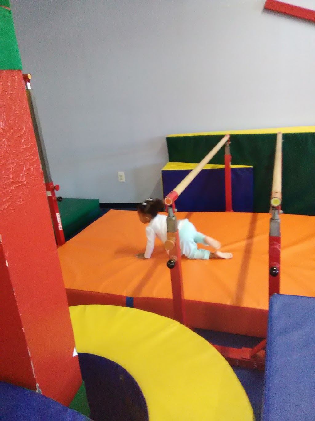 Rolly Pollies | Rolly Pollies of North Buffalo, 1669 Hertel Ave, Buffalo, NY 14216, USA | Phone: (716) 833-3318