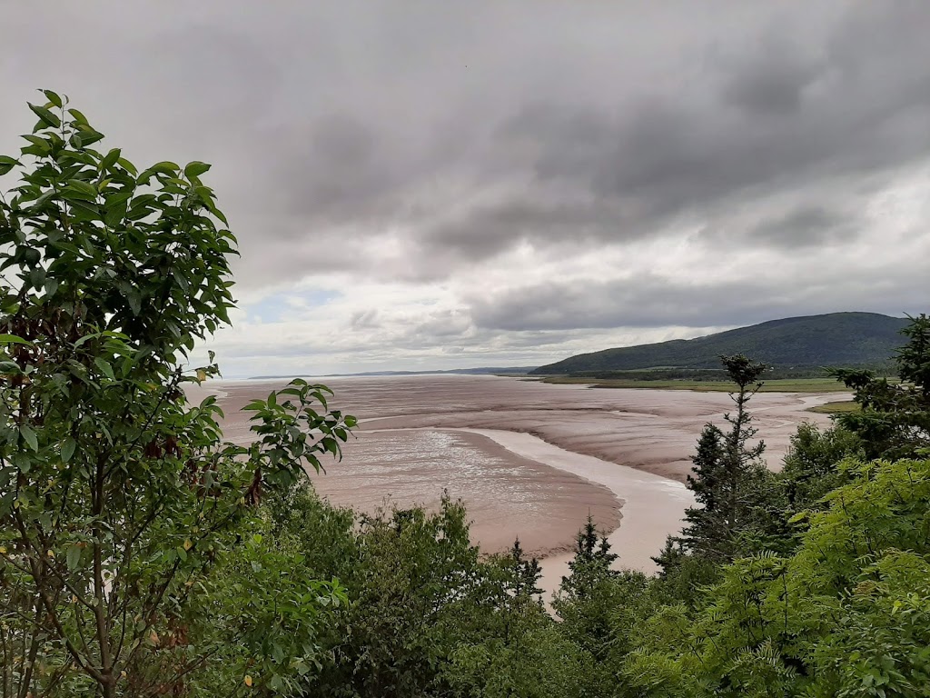 Hopewell Rocks Park | 131ch, Discovery Rd, Hopewell Cape, NB E4H 4Z5, Canada | Phone: (877) 734-3429
