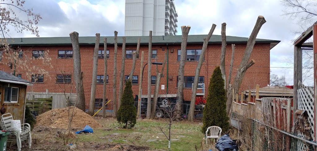 Tree Masters | 1476 Hwy 5 W, Troy, ON L0R 2B0, Canada | Phone: (905) 923-0994