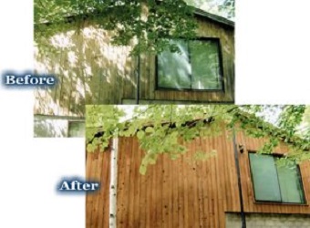 Log & Wood Home Colour Restoration | 2457 Burnstown Rd, Renfrew, ON K7V 3Z4, Canada | Phone: (613) 433-0860