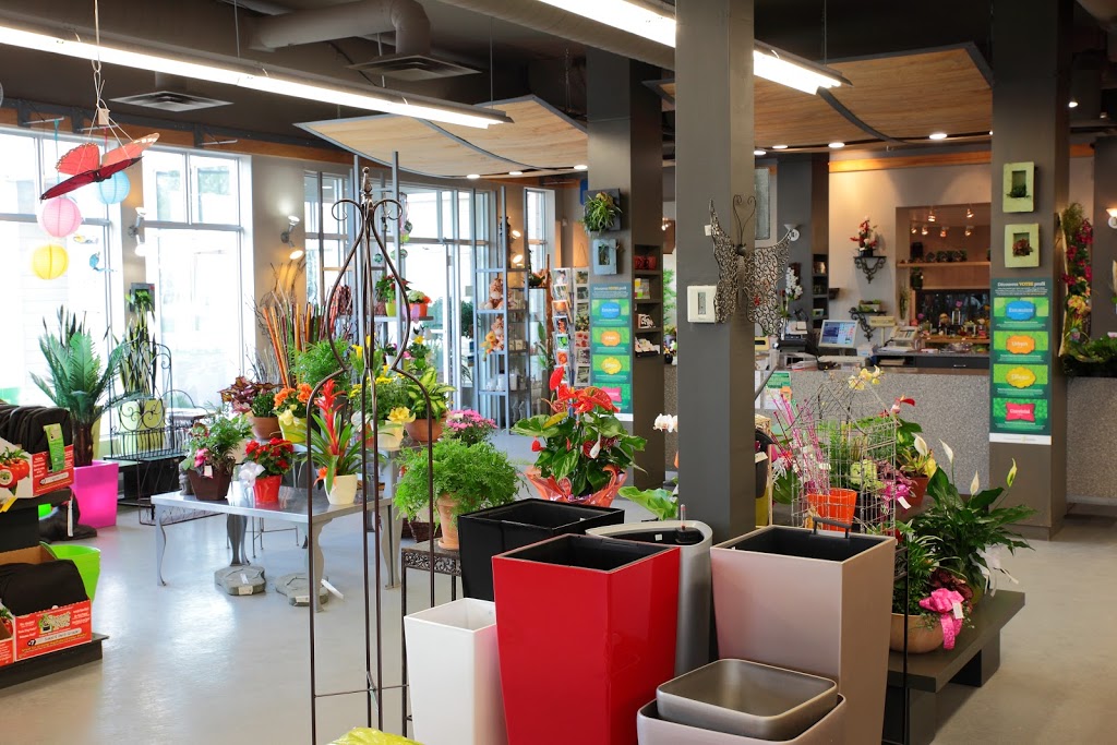 Gauthier Fleurs et Jardins | 4936 Boul Gene-H.-Kruger, Trois-Rivières, QC G9A 4N1, Canada | Phone: (819) 375-4813