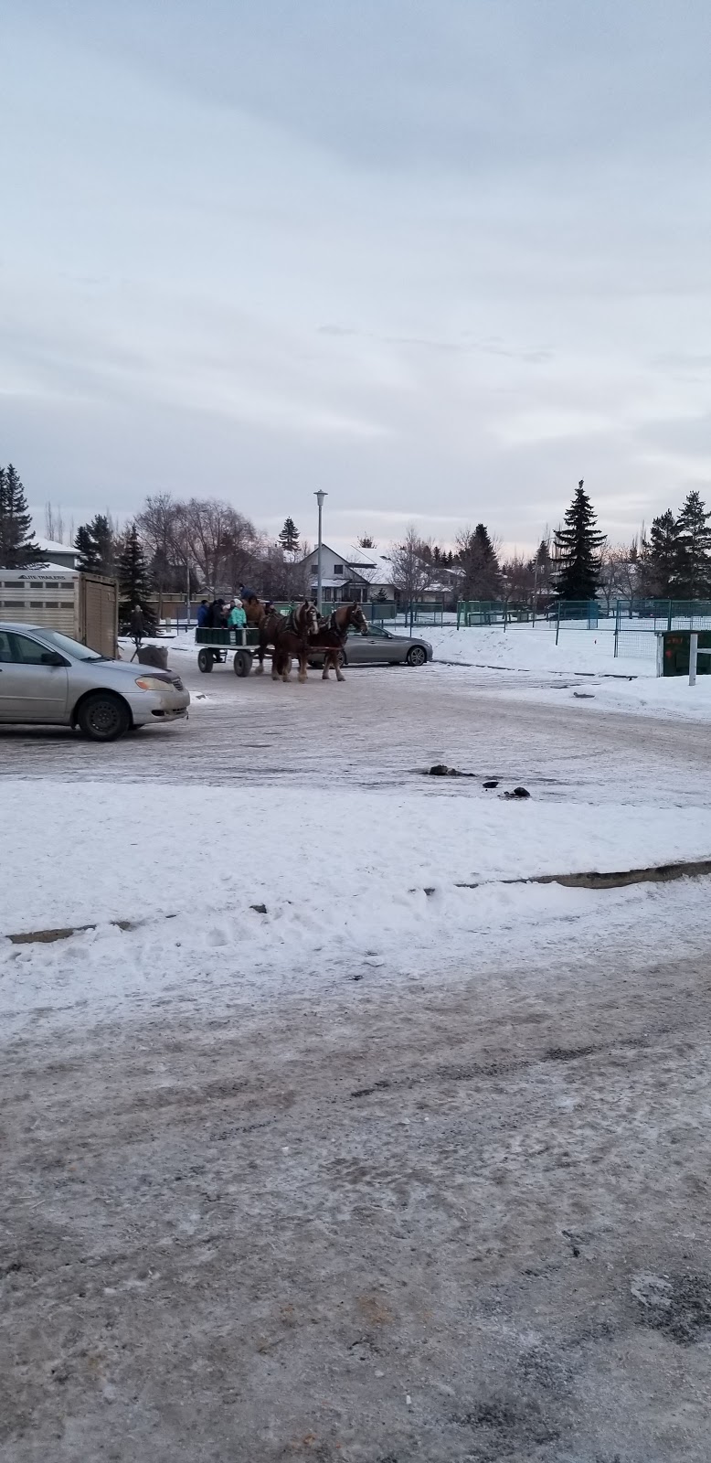 Brookview Community League | 280 Bulyea Rd NW, Edmonton, AB T6R 2A5, Canada | Phone: (780) 439-9394