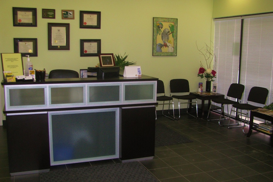 Calgary Avian & Exotic Pet Clinic | 2308 24 St SW #1, Calgary, AB T2T 5H8, Canada | Phone: (403) 240-3577