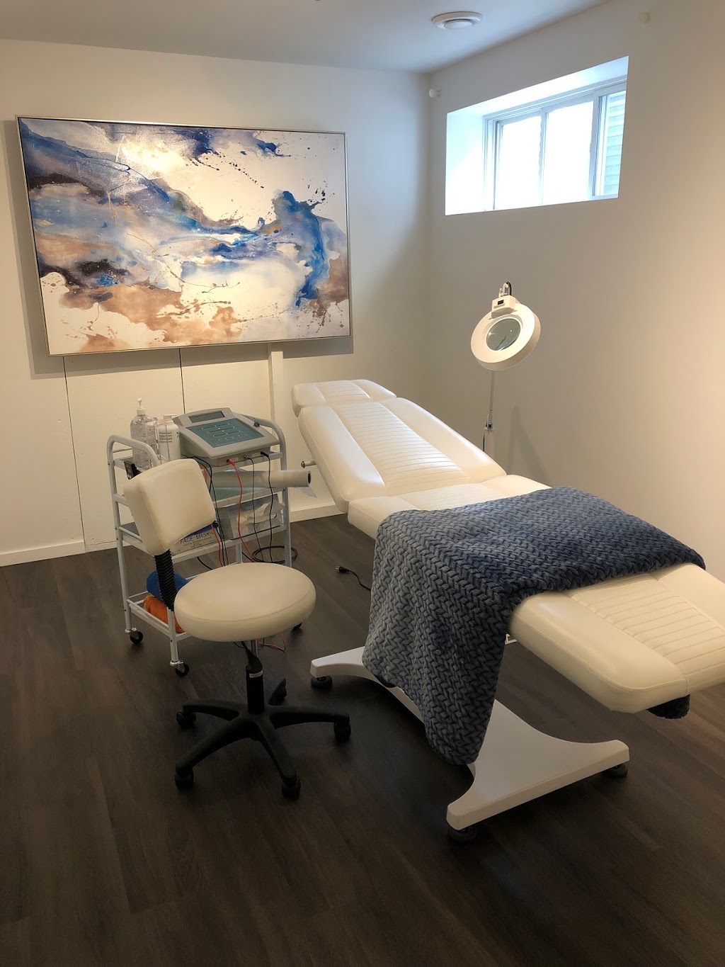 Emoveo Electrolysis | 36 Rue Montalet, Beaumont, AB T4X 0G1, Canada | Phone: (780) 238-9987