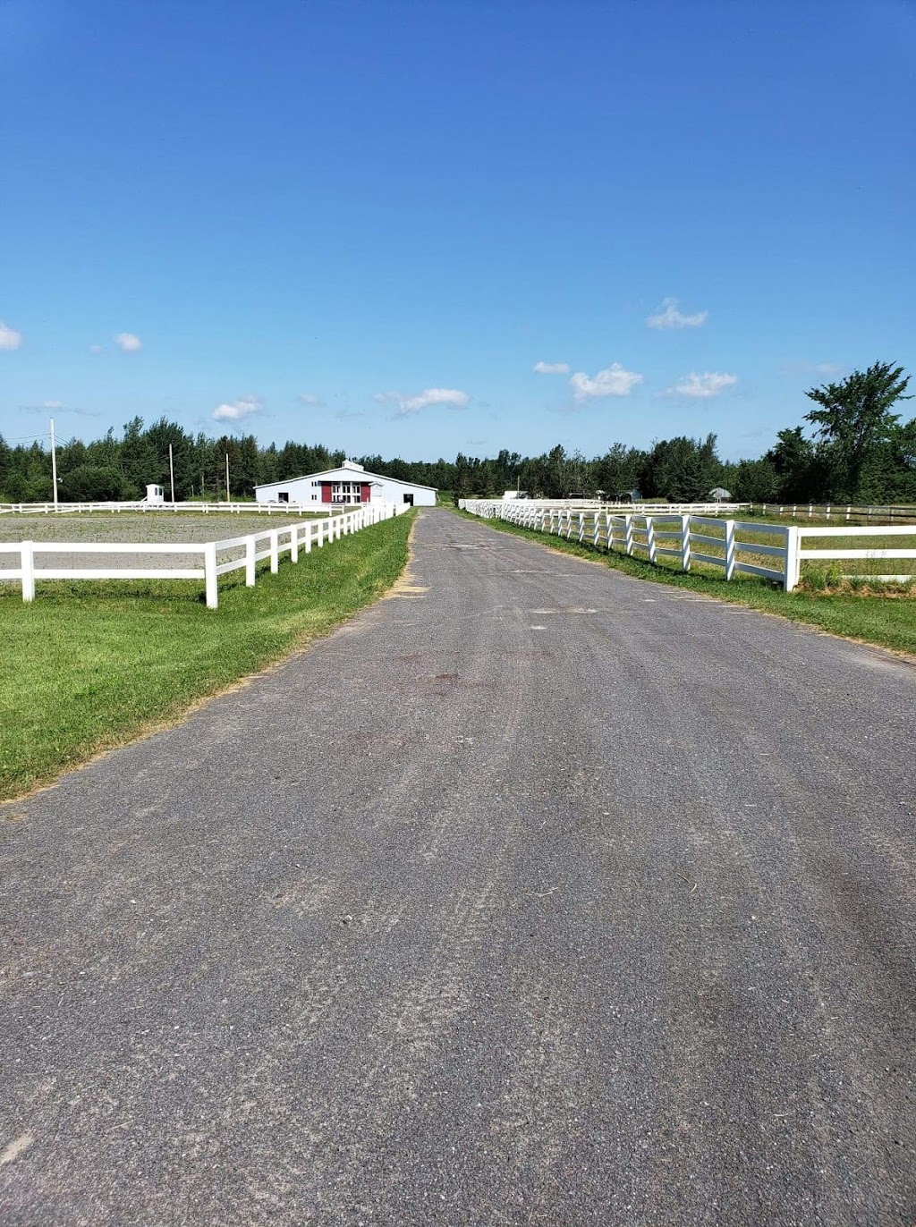 Les Écuries Breton | 1487 Chem. Bélair O, Saint-Jean-Chrysostome, QC G6Z 2L2, Canada | Phone: (581) 305-2340