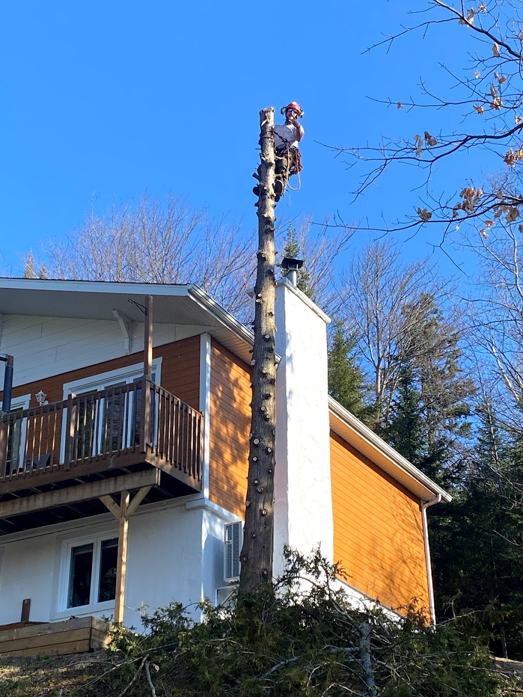 Élagage Frère dArbres | 2 Rue Hendy, Sainte-Agathe-des-Monts, QC J8C 2Z7, Canada | Phone: (819) 324-8045