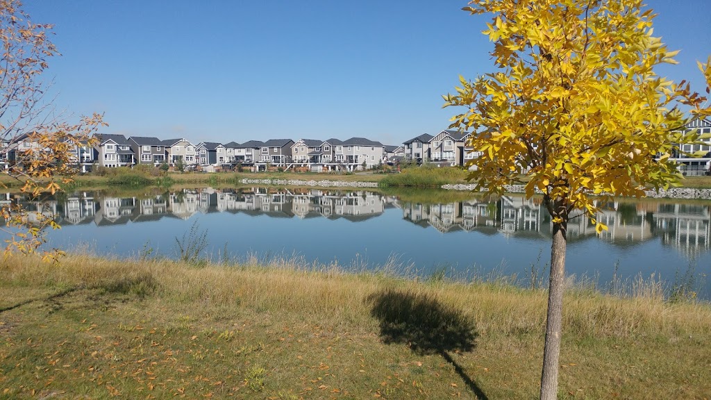 Reunion Pond | 319 Reunion Green NW, Airdrie, AB T4B 0M4, Canada