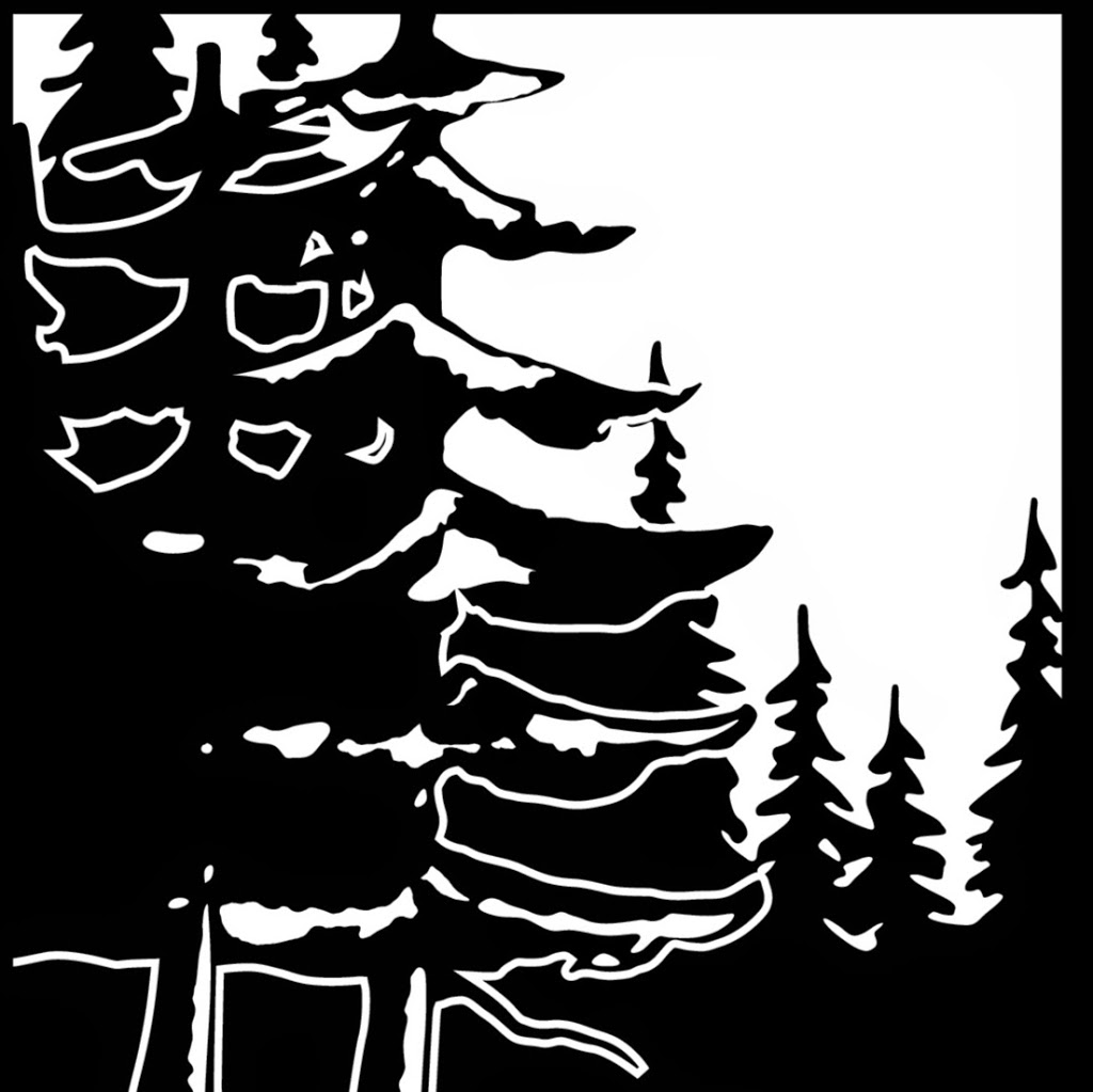 Trailhead Athletics | 909 Squalicum Way #108, Bellingham, WA 98225, USA | Phone: (360) 224-8999