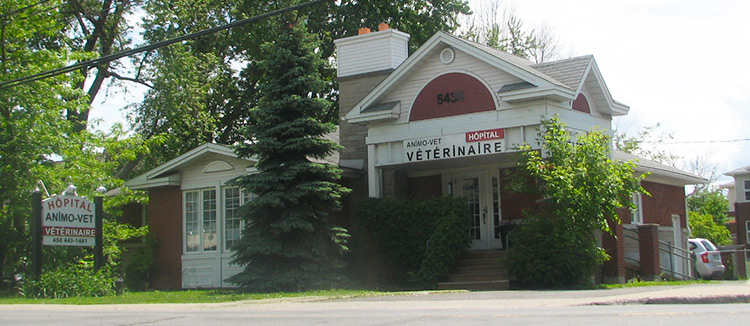 Anima Plus | 5435 Chemin de Chambly, Saint-Hubert, QC J3Y 3P2, Canada | Phone: (450) 443-1461