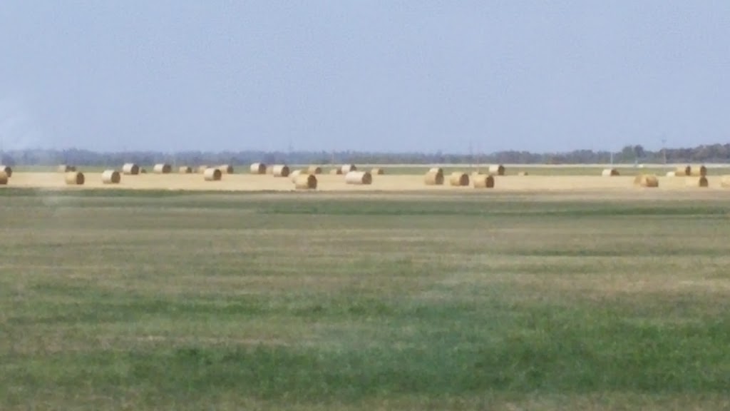 Grey Rural Municipality Of | 27 Church Ave, Elm Creek, MB R0G 0N0, Canada | Phone: (204) 436-2014
