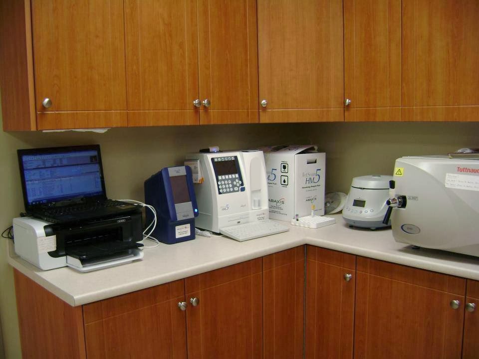 Mcleod Road Animal Clinic | 7000 McLeod Rd, Niagara Falls, ON L2G 7K3, Canada | Phone: (905) 371-8200