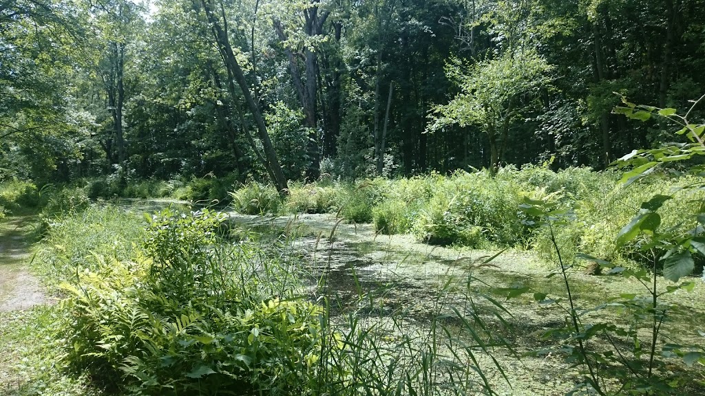 Mara Provincial Park | 181 Courtland St, Longford Mills, ON L0K 1L0, Canada | Phone: (705) 326-4451