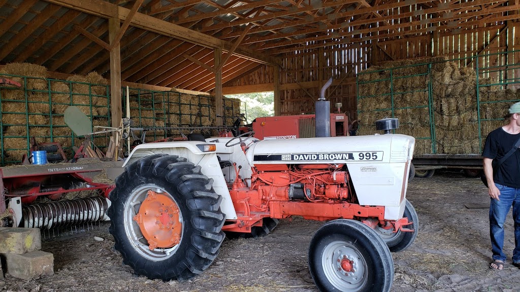Laepple Organic Farm | 2298 Bleams Rd, Petersburg, ON N0H 2H0, Canada | Phone: (519) 634-1033