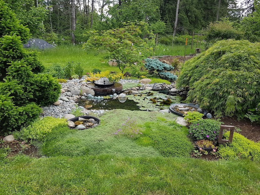 Copper Fern Guest House | 3694 Lake Trail Rd, Courtenay, BC V9N 9M9, Canada | Phone: (250) 650-7115