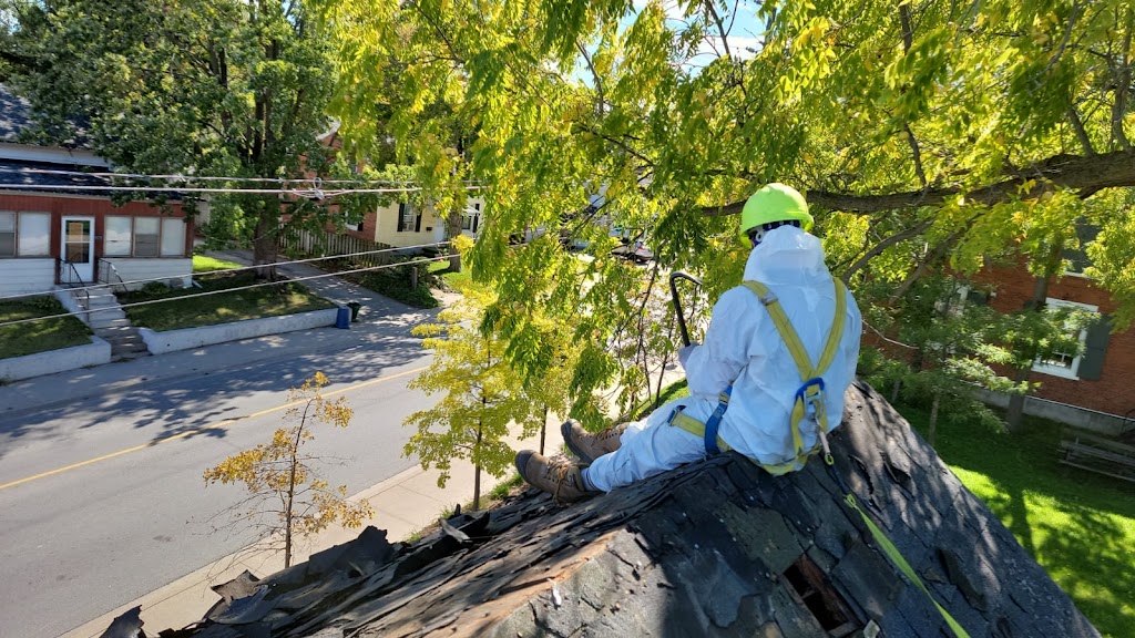 AMC Environmental Corp | 187 Caledonia Rd, Toronto, ON M6E 4S9, Canada | Phone: (416) 533-4114