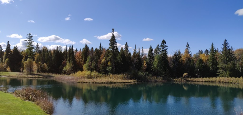 Black Diamond Golf Club | 705 Pontypool Rd, Pontypool, ON L0A 1K0, Canada | Phone: (705) 932-4653