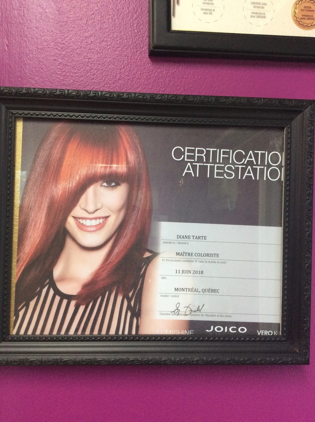 Coiffe-Ongle-Diane | 599 Rue Principale, Saint-Dominique, QC J0H 1L0, Canada | Phone: (450) 771-8580