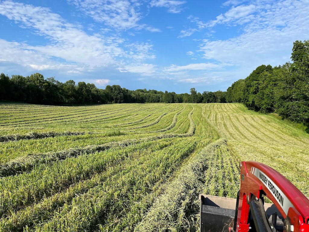 MadocCreek Farm | 642 Woods Rd, Madoc, ON K0K 2K0, Canada | Phone: (613) 403-4886