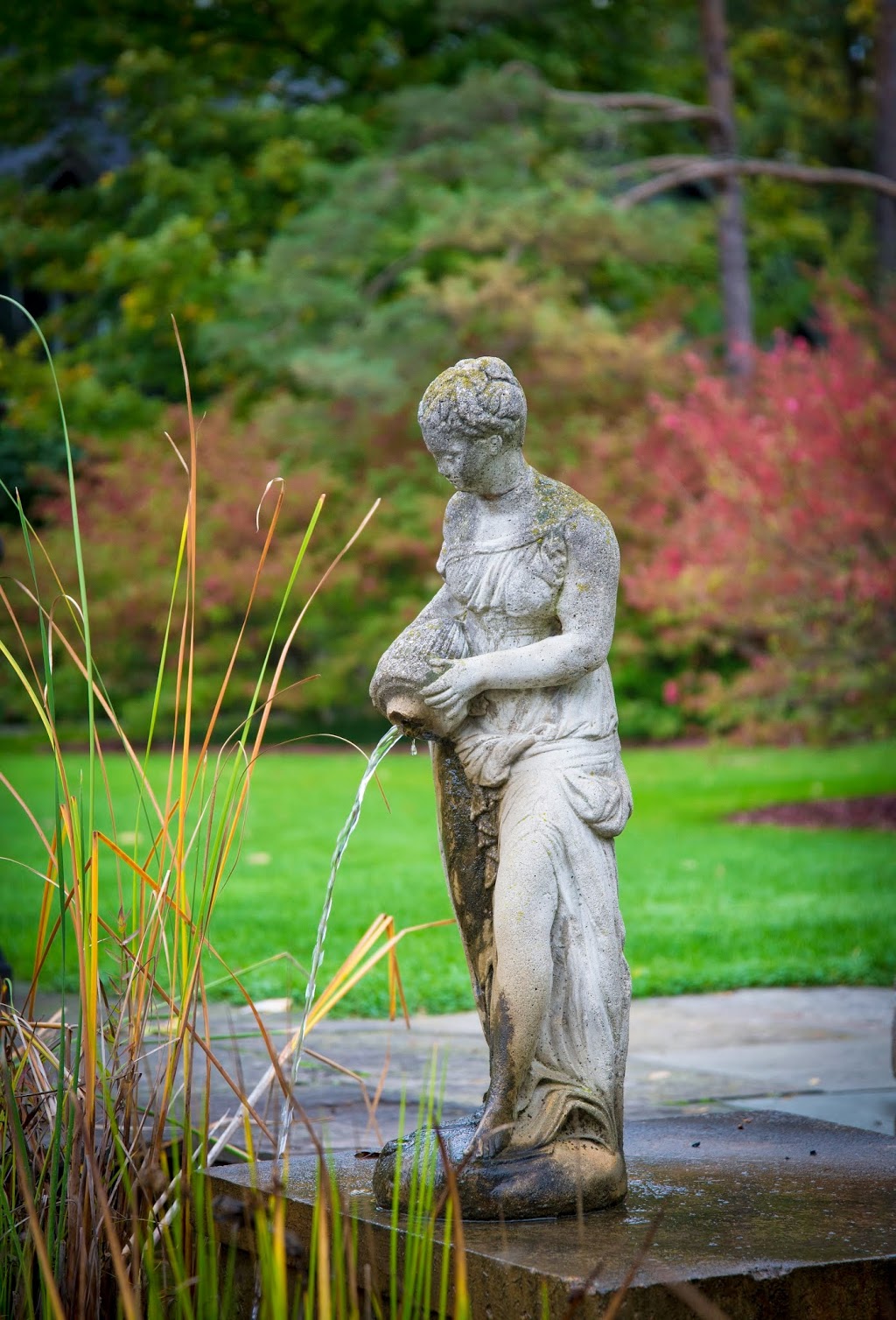 Kim Bowdring Photography | 55 Green Vista Dr, Cambridge, ON N1T 1X7, Canada | Phone: (519) 241-2310