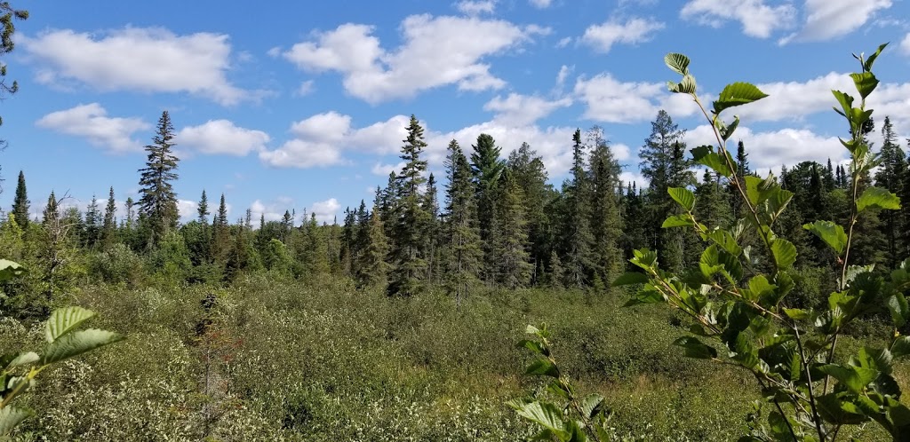Echo Valley Nature & Bike Trails | Echo Hills Rd, Dwight, ON P0A 1H0, Canada | Phone: (877) 566-0005